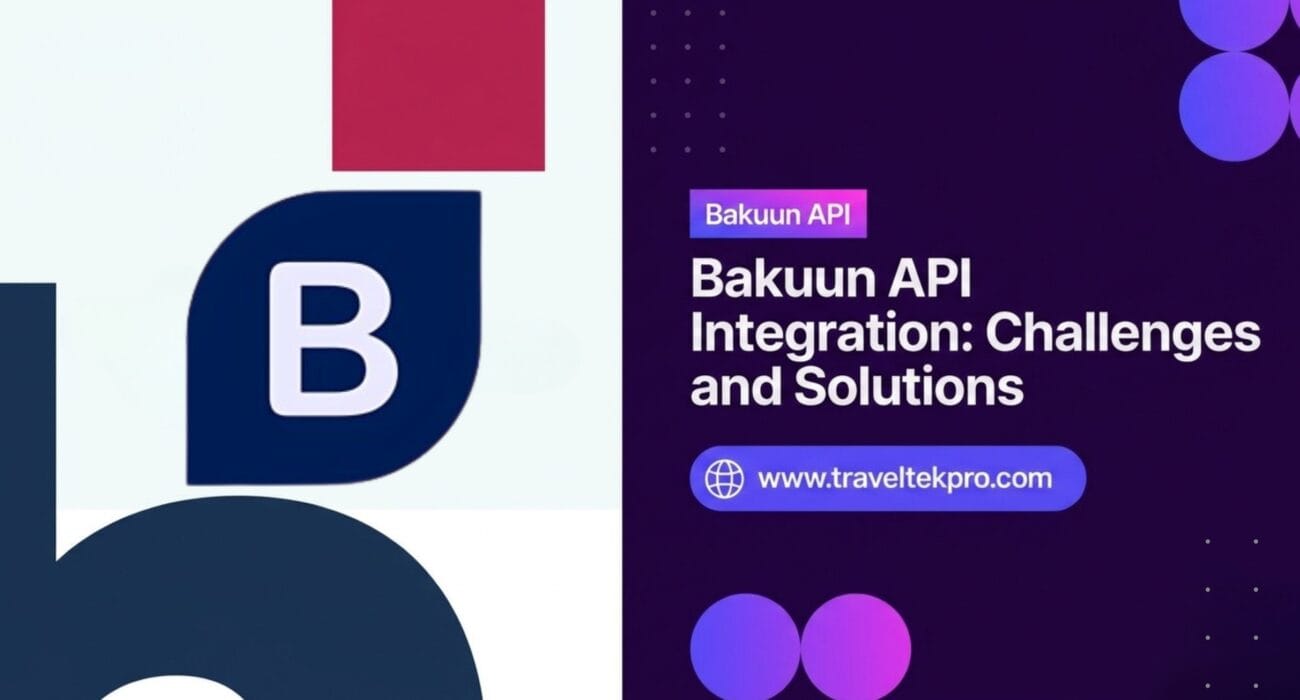 Bakuun API Integration